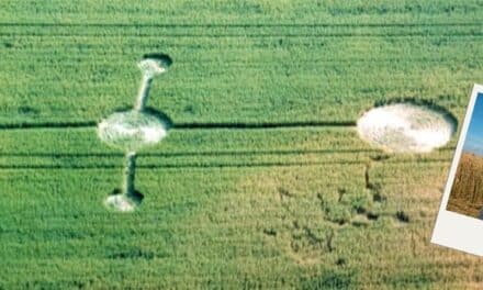 Hvor­dan en kor­n­cir­kel kan opstå!