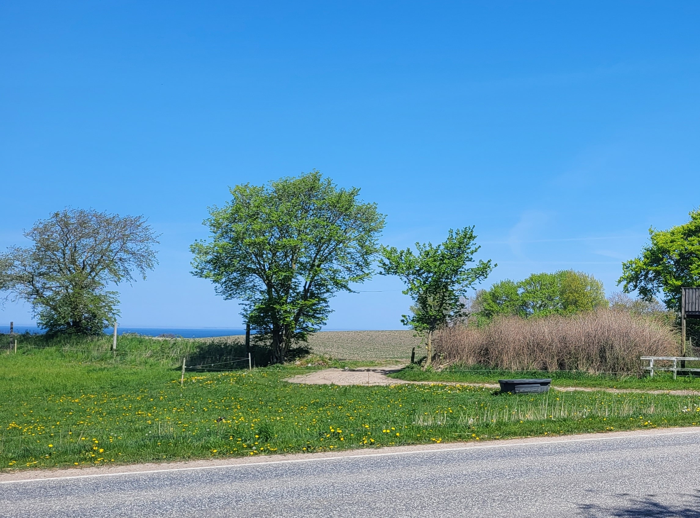 Da objektet var nærmest, var det helt ude ved de bageste træer, der ses på billedet ovenfor (Eget foto).