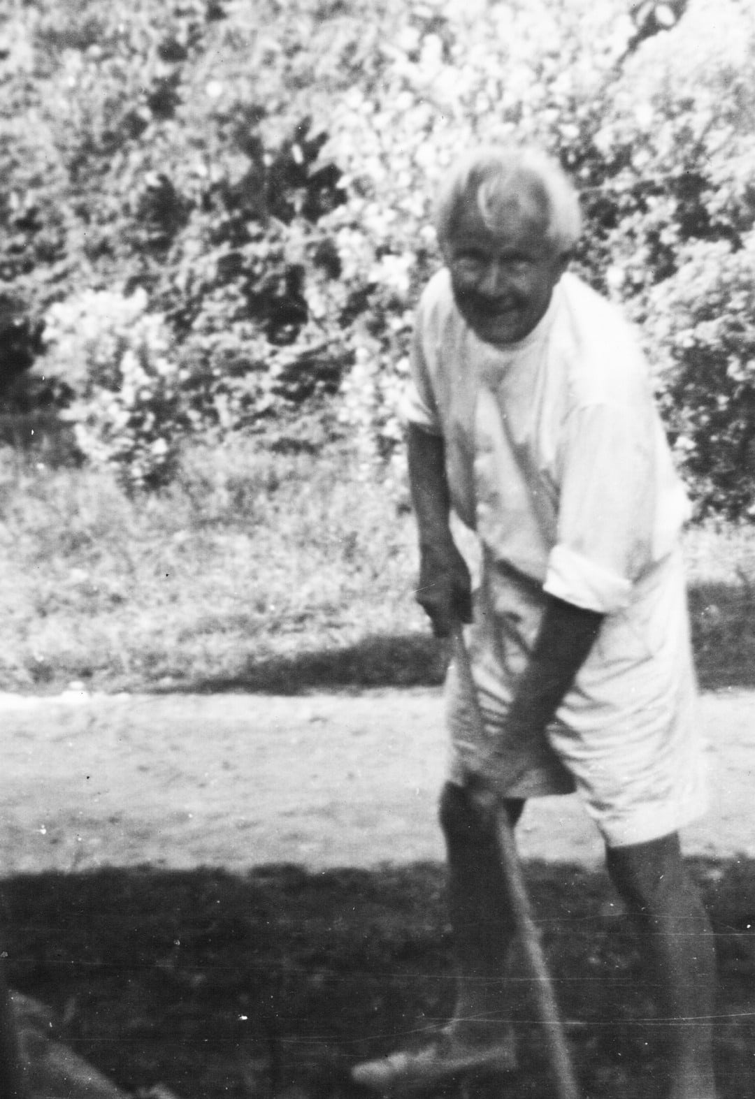 Her ses Otto Viking i gang med riven i haven på Basantgaarden. Foto: Ole Henningsen ca. 1960.